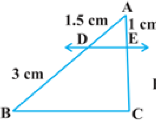 mt-3 sb-1-Trianglesimg_no 278.jpg